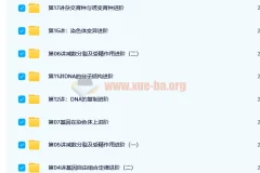 陆薇薇-高二生物必修2目标满分班（人教版）