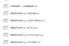 《熙墨：XO初级训练自学课》[MP4]