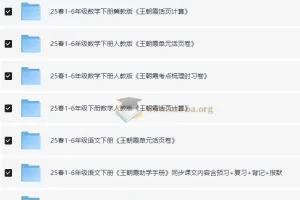 王朝霞 小学语数英学习资料包·2025春