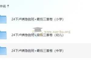 2024教资【卢姨押题】最后三套卷+急救班(最新版)