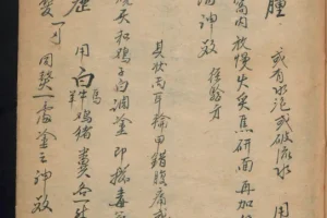 《德国某大学收藏的稀缺中医古籍》[PDF]