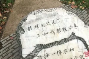 亲子共学：英国文化深度探索课程