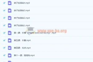 程一墨老师 毛笔字教程 书法课12讲完结高清视频
