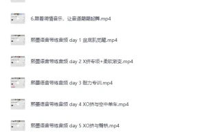 《熙墨：XO初级训练自学课》[MP4]