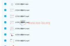 思思大王2022大刊牛文第一季（寒假）