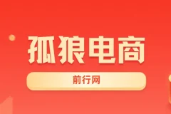 孤狼电商VIP教程