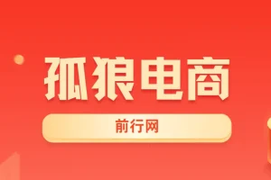 孤狼电商VIP教程