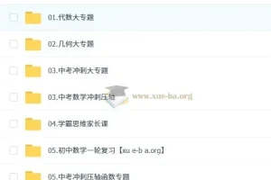 状元数学刘校长初中基础+拔高合集