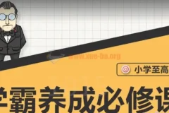 大老师-小学到高中学霸养成必修课程