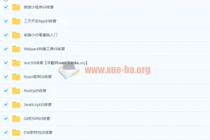 2023程序员WEB大前端工程师