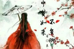 古风言情《不负如来不负卿》 117集全