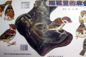 儿童绘本故事《雨靴里的麻雀》PPT