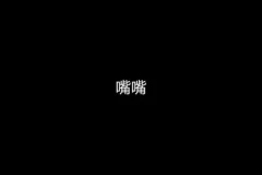 私域IP变现实战课：朋友圈+社群运营秘籍