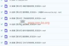 2024高三高考数学 林泽田 A+寒假班