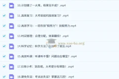 逆袭高手学习方法课：从零到顶尖的高效学习秘籍1.2G