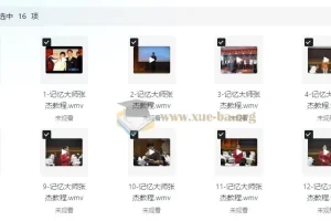 解锁记忆潜能 成就记忆大师 张杰全套高价付费教程