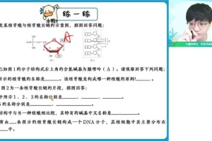 2024高一生物暑假班-邓康尧名师精讲+题型精练