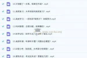 逆袭高手学习方法课：从零到顶尖的高效学习秘籍1.2G