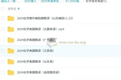 高中化学 2025高三高考化学 政哥李政 高考真题12小时精讲班