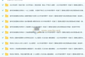 2025年高考数学一轮复习《重难点题型与知识梳理•高分突破》（新高考专用）