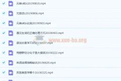 抖音网红名师 孙志立英语抖音课程 58讲