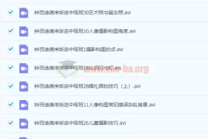 钟百迪人像摄影循序渐进中级班