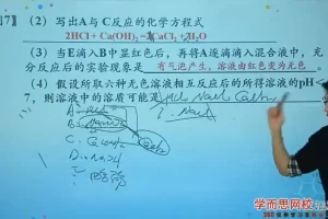 陈潭飞初三化学满分冲刺班（人教版）