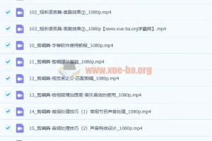 2022新电影自习室合集摄影篇+剪辑篇+视听语言篇【画质高清有部分素材】