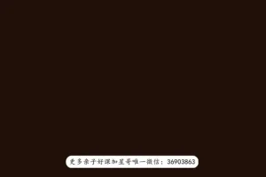 探索艺术史：从奥赛到卢浮宫的深度之旅