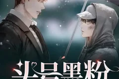 有声小说《头号黑粉》 纯爱 都市多人有声剧 252集完结