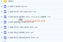 2024高中化学 高二化学 成功 A+寒假班