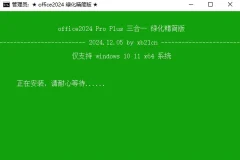 微软 Windows Microsoft Office 365 xb21cn 精简版[Office365 安装即用]