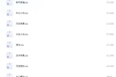 《笔趣阁全站网络小说大合集 31w本》[txt]