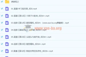 2024高中化学 高二化学 成功 A+寒假班