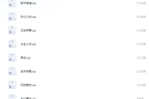 《笔趣阁全站网络小说大合集 31w本》[txt]