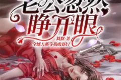 《新婚夜，植物人老公忽然睁开眼》多人有声剧 主播：点众听书 1236集完[MP3]