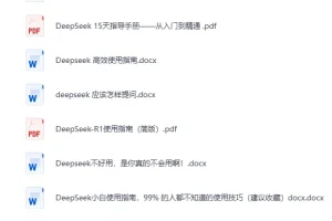 《DeepSeek全系资源：使用指南+提示词秘籍+本地部署》[PDF]