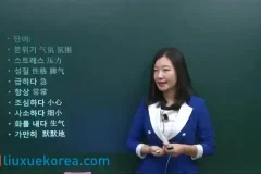 零基础韩语学习大合集：14套课程，从发音到TOPIK考试全覆盖