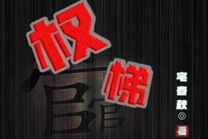 有声小说《权梯》 多人有声剧 630集完结