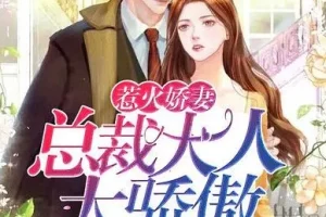 有声小说《惹火娇妻：总裁大人太骄傲》 温暖柔光江小白播讲749集