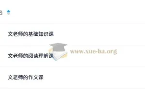 文老师《小学语文课程合集 (基础知识+阅读理解+作文) 》 66GB