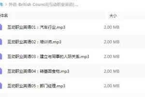 有声书《British Council 互动职业英语》 全30集 Joyce