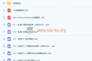 王杭州 2021寒 初三中考数学尖端班 7讲带讲义