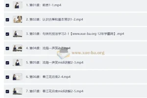 新版轻松学古筝教程 (全61集)