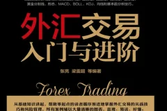 《外汇交易入门与进阶》张亮[PDF]