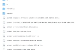 《20251225分享付费小说合集》[TXT]