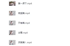 《吴么西付费教程：持久高潮训练》[MP4]