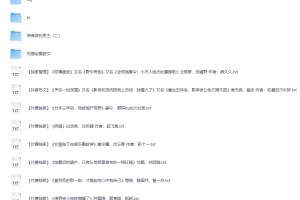 《20251225分享付费小说合集》[TXT]