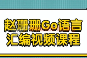 赵珊珊Go语言汇编视频课程