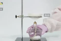 乐乐课堂全学科学习资源：小学到高中+国学+科学实验